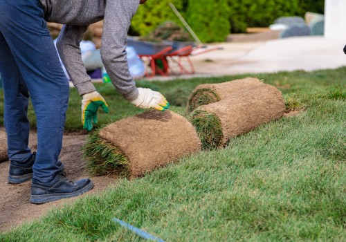 Building A Greener Future: Northern Virginia Lawn Companies Share Their Favorite Sustainable Landscaping Products